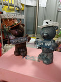 Cowboys bears
